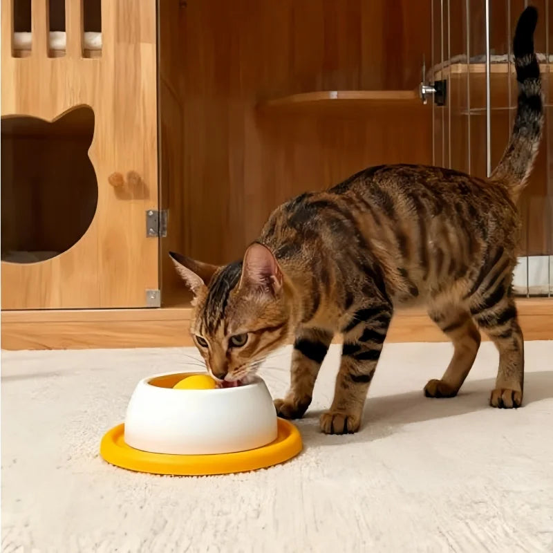 Interactive Dog Lick Toy