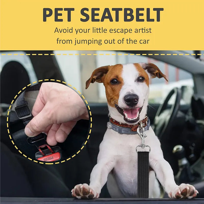 Pet Safety Seat Belt Harness