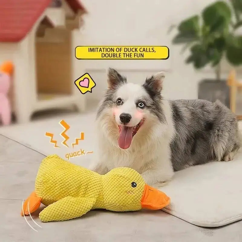 Plush Dog Chew Toy