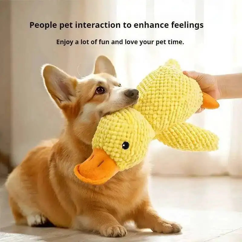 Plush Dog Chew Toy