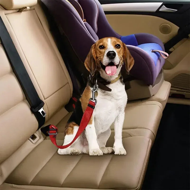 Pet Safety Seat Belt Harness