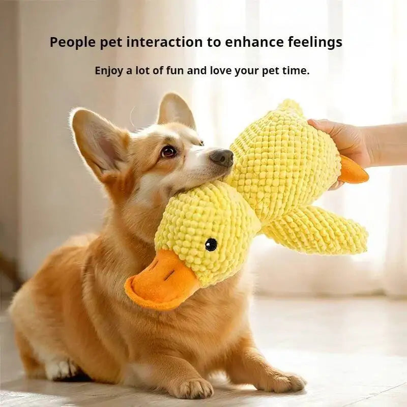 Plush Dog Chew Toy