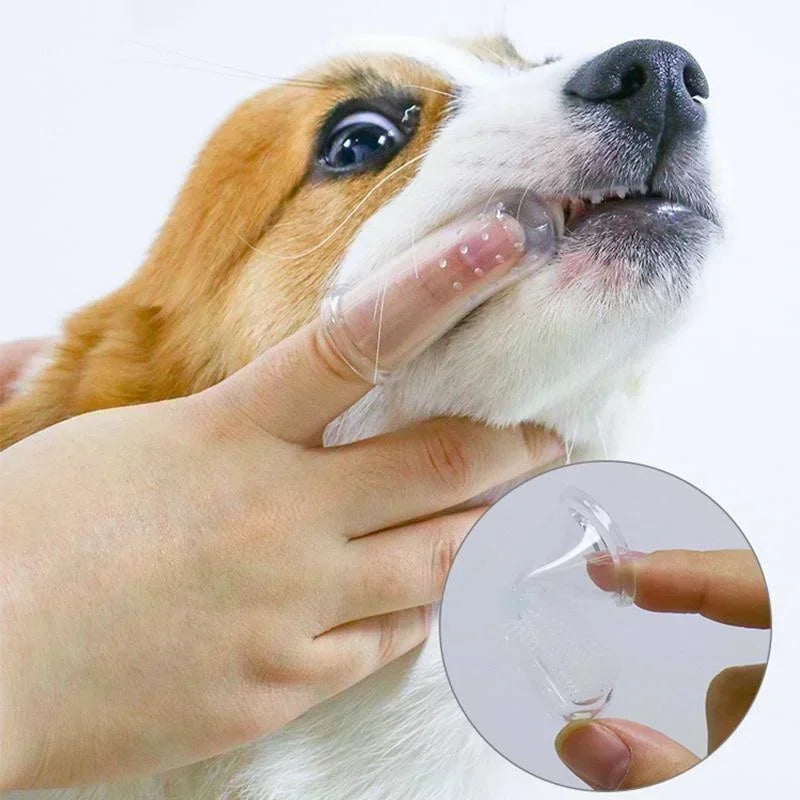 Pet Dental Finger Brushes