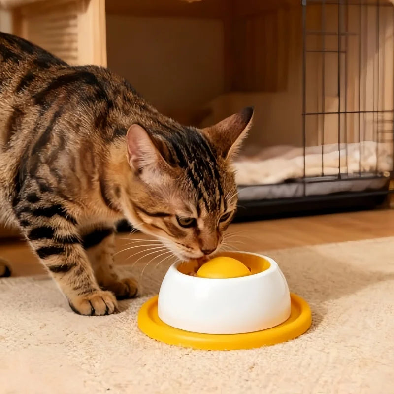 Interactive Dog Lick Toy