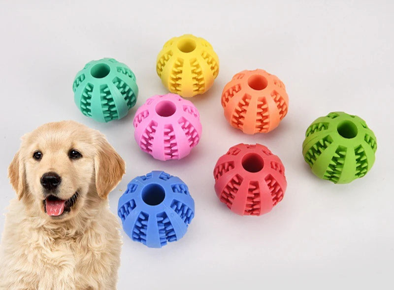 Treat Dispenser Bal