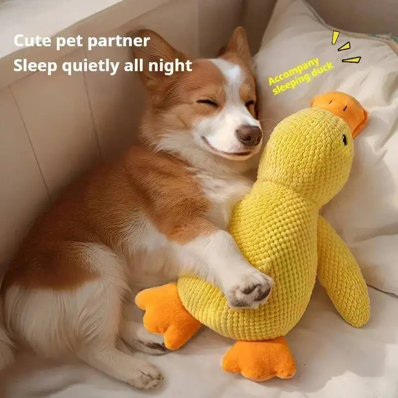 Plush Dog Chew Toy