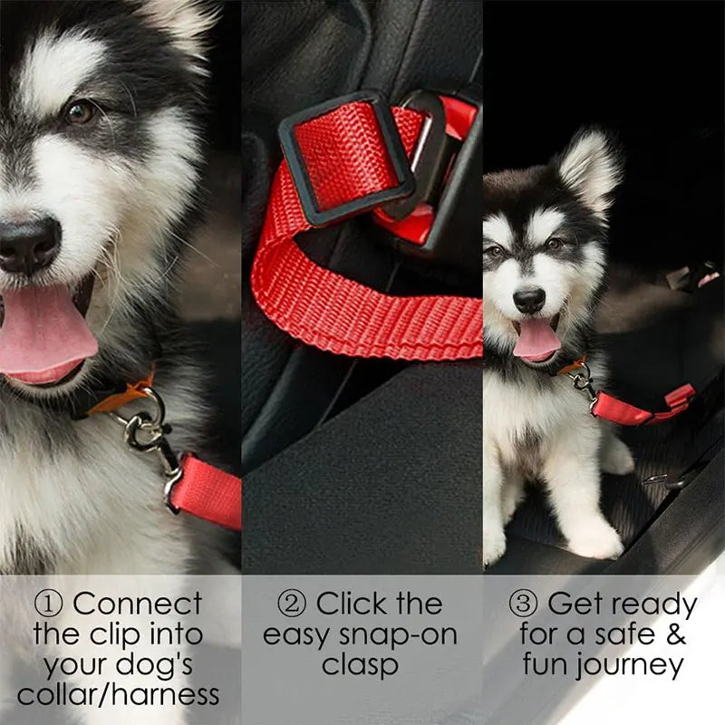 Pet Safety Seat Belt Harness